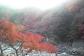 秋の行楽by katano